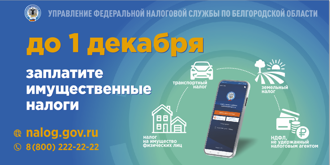 Имущественные налоги необходимо уплатить не позднее 1 декабря.
