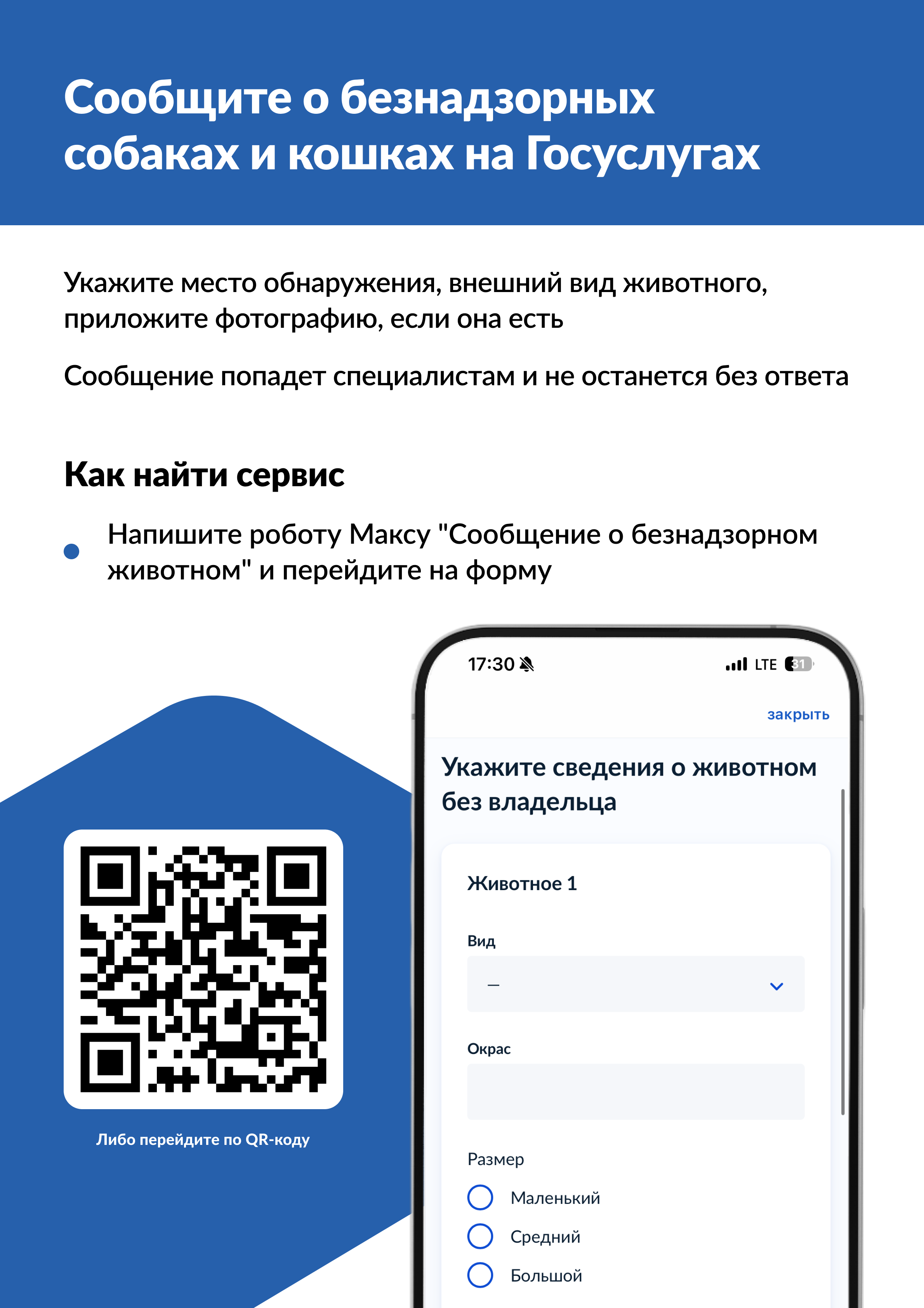 На портале «Госуслуги» можно уведомить о безнадзорном животном.