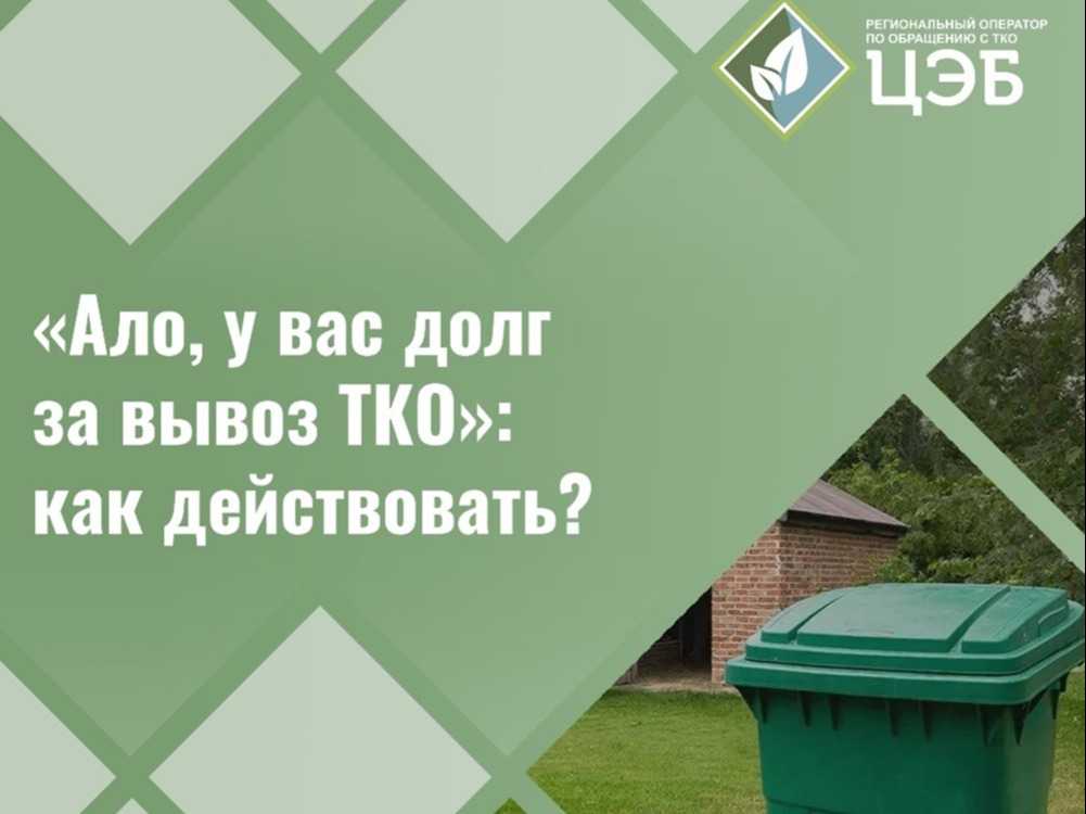 «Ало, у вас долг за вывоз ТКО»: как действовать?.