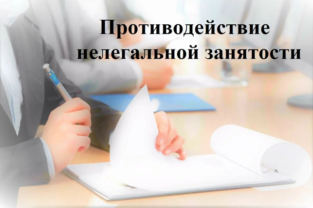 Информационный визит –информирование работников и работодателей о последствиях «теневой» занятости.
