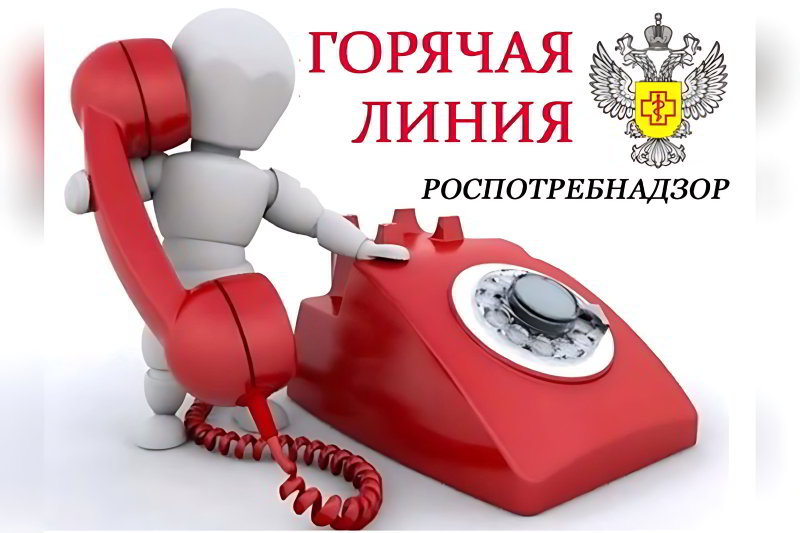 О проведении тематических «горячих линий».