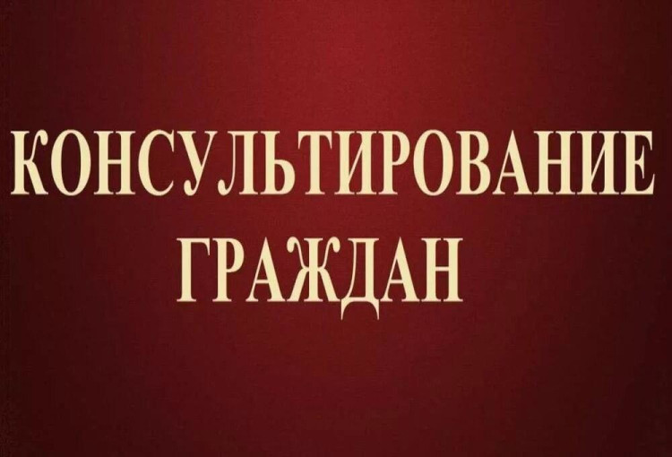 Консультирование граждан по вопросам качества и безопасности детских товаров и выбору новогодних подарков".
