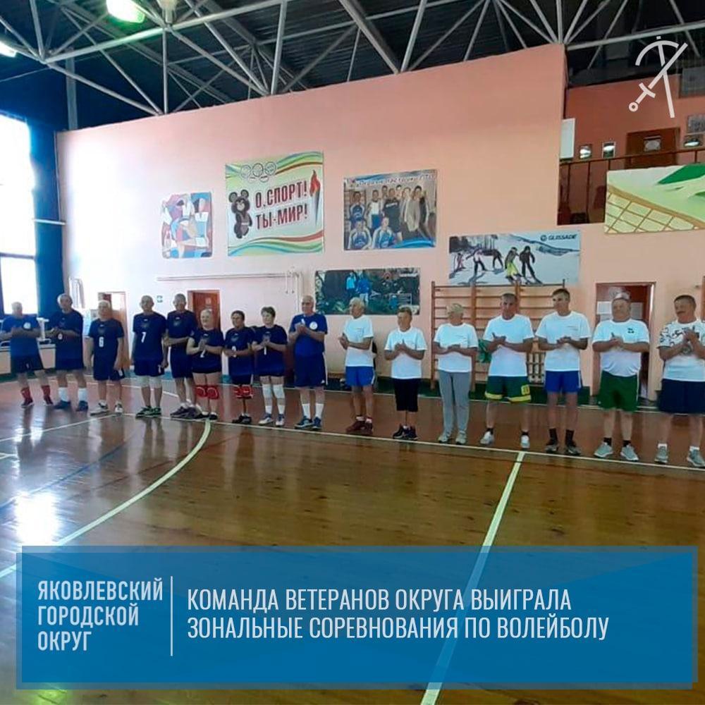 Зональные соревнования по волейболу среди ветеранов прошли в посёлке Ракитное.
