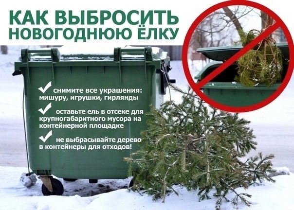 Куда выбросить новогоднее дерево?.