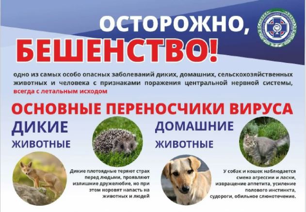 Профилактика бешенства – одна из важнейших задач государственной ветеринарной службы в регионе.