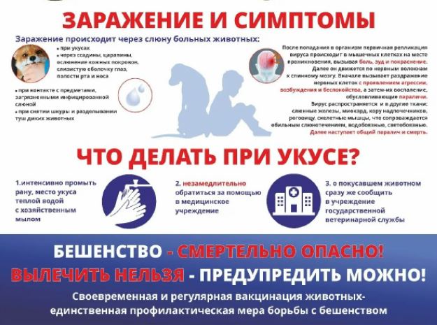 Профилактика бешенства – одна из важнейших задач государственной ветеринарной службы в регионе.